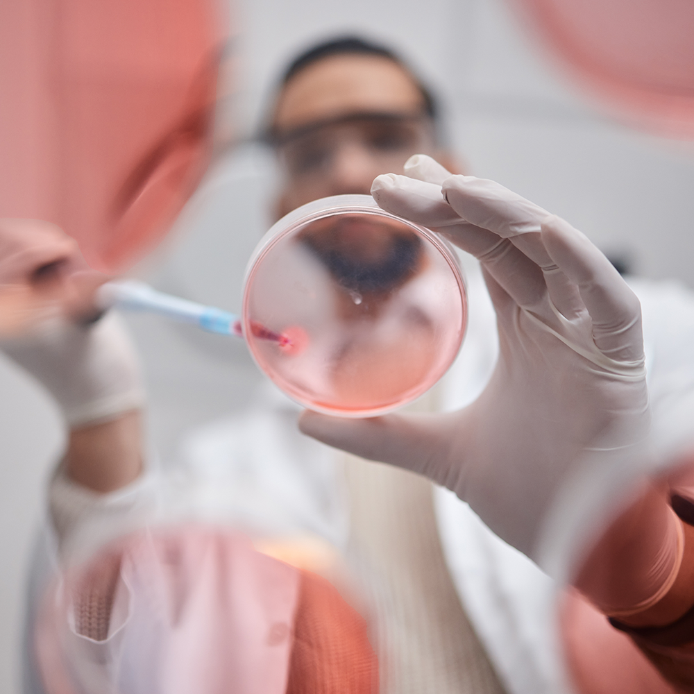 Laboratoriumbenodigdheden van biotrading.com: flessen, buizen en petrischalen.